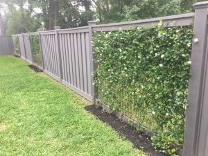 Vines on Wire Mesh Panel with Winchester Grey Trex Panels