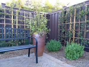 Trex-Seclusions-Woodland-Brown-with-Trellis 1