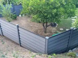 A Winchester Grey Trex Horizons horizontal fence enclosing a Southern California backyard with orange trees.