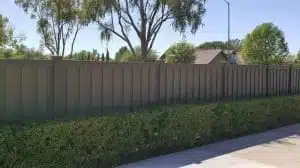 A Trex Fence behind a short hedge