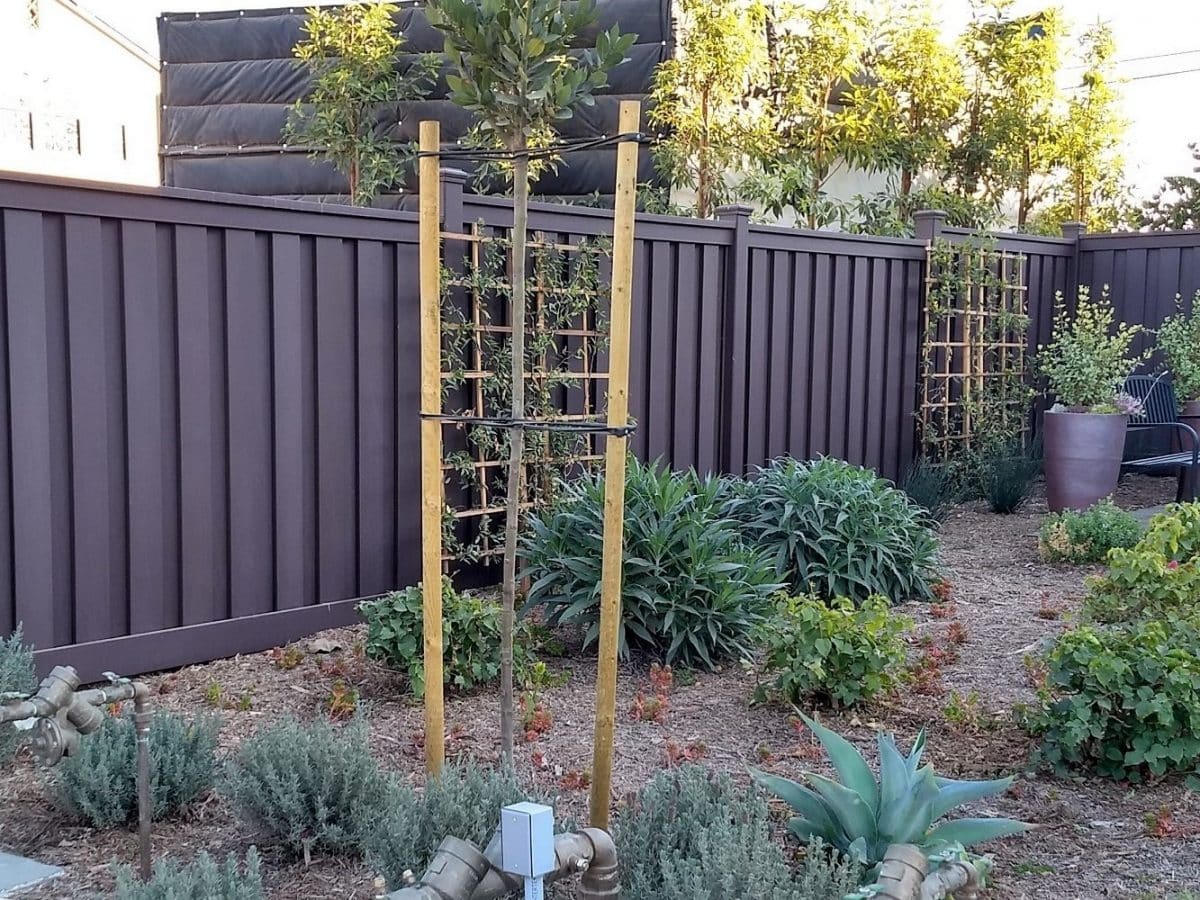 trex-fencing-with-landscaping-californiajpg A Trex Fence behind a landscaped yard with low moisture plants.