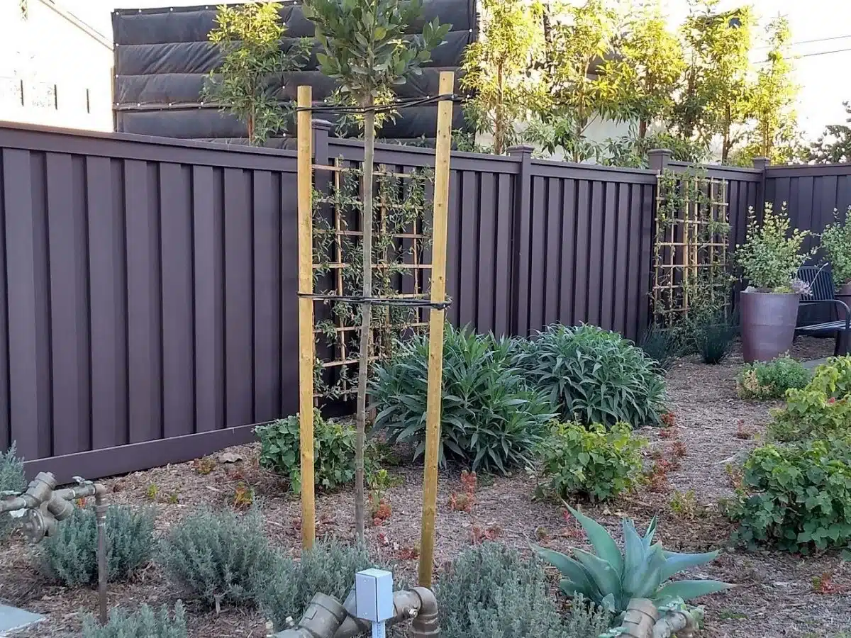 A Trex Fence behind a landscaped yard with low moisture plants.